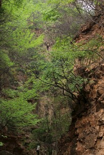 石林峡山间翠绿植被覆盖的陡坡