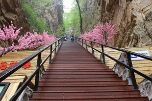 石林峡山间花畔木栈道美景
