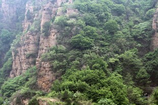 石林峡峻峭山峦覆盖繁茂植被