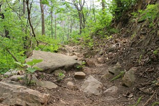 石林峡山间崎岖小径 绿意盎然