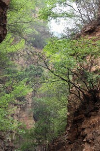石林峡山间峡谷绿意盎然景色