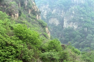 石林峡壮丽峡谷绿意盎然景观