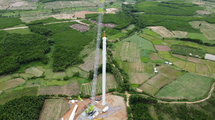 田野中的风力发电机组