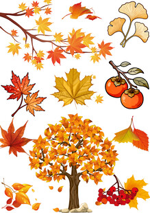 秋季树叶丰收果实装饰元素大合集