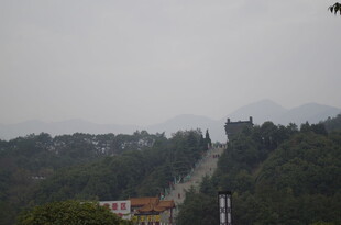 山间蜿蜒道路隐于绿树