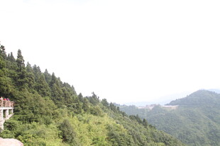 山间翠绿景色中的小屋