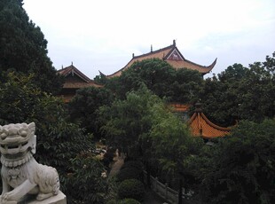 古寺隐于葱郁山林间