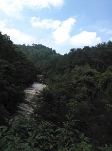 山间溪流穿林而过