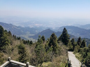 山间景致 葱郁林木伴远峰