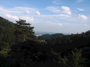 山林间远眺开阔天际景色