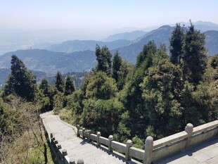 山间步道赏葱郁山林美景