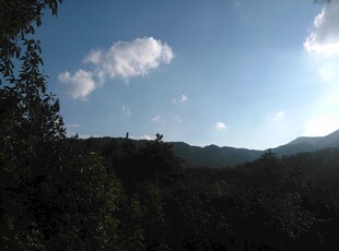 蓝天绿树间的山间景致