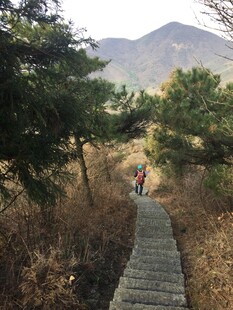 山间木栈道上的徒步者