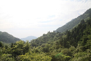 青山绿树间的秀丽山林景色