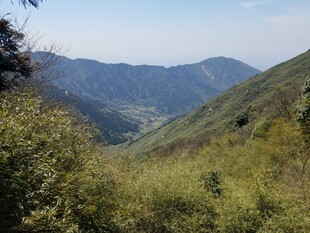 山间绿野风光