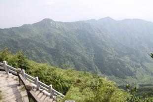 山间栈道蜿蜒于翠绿山峦