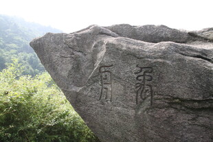 刻字巨石 山林间的自然景致