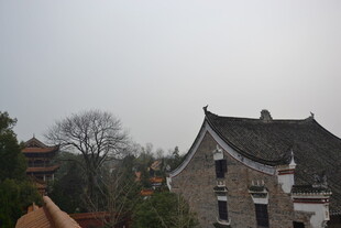 中式古建屋顶风景