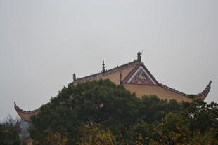 中式屋顶隐于绿树间