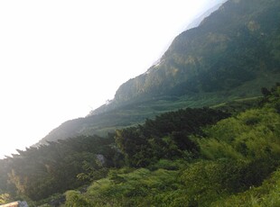 衡山青山葱郁的山间美景