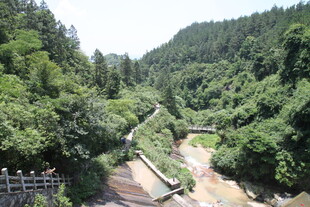 衡山山间蜿蜒公路旁葱郁树林