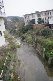 衡山乡村小河畔的宁静景致
