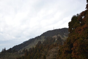 衡山山林景致 云雾缭绕之美