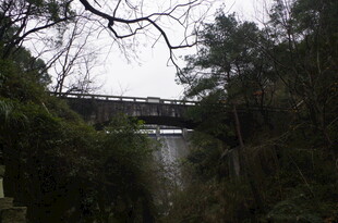 衡山林间悬桥 自然静谧之景