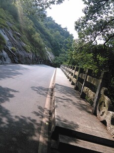 衡山山间公路 绿荫相伴