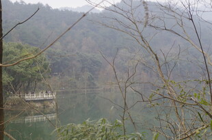 衡山山林湖畔景致