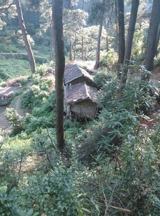 衡山森林中的废弃小屋