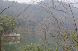衡山山林湖畔风景