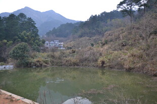 衡山山间静谧湖水风景图