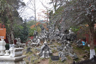 衡山山林中的石雕景观
