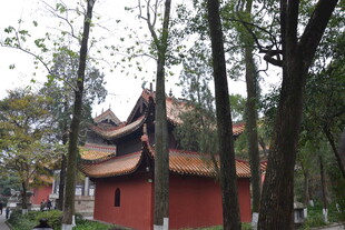 衡山古寺隐于绿树间