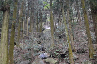 衡山山林间徒步者穿行于树林