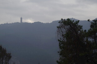 衡山雾中山景与树木