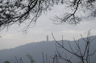 衡山山间远景 朦胧树木与塔