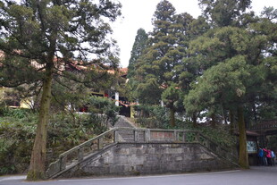 衡山山林旁的石阶建筑景观