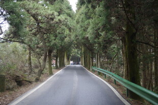 衡山林间公路 绿意盎然的旅程