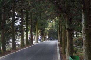 衡山林间幽静小道