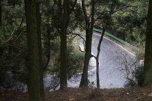 衡山林间蜿蜒公路美景
