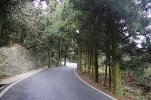 衡山蜿蜒林间路