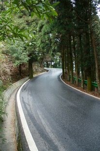 衡山林间蜿蜒公路美景