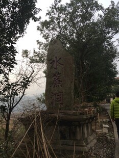 衡山山林中的古老石碑遗迹