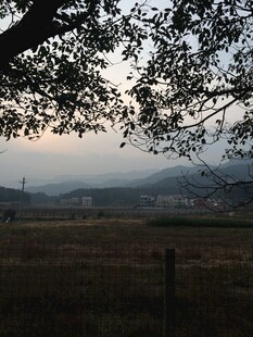衡山黄昏下的田野与树木景观