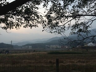 衡山黄昏下的田野与远山景色