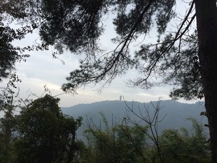 衡山山林间远眺朦胧山峦景色