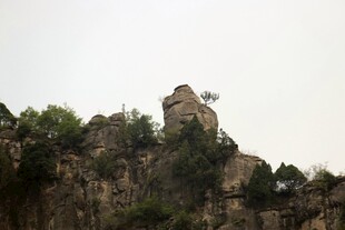 奇峰屹立于葱郁山林间