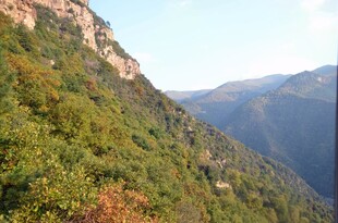 山间葱郁美景